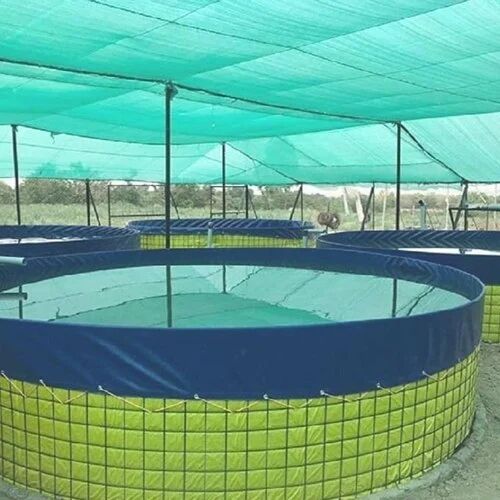 PVC Biofloc Fish Farming Tank, Color : Blue