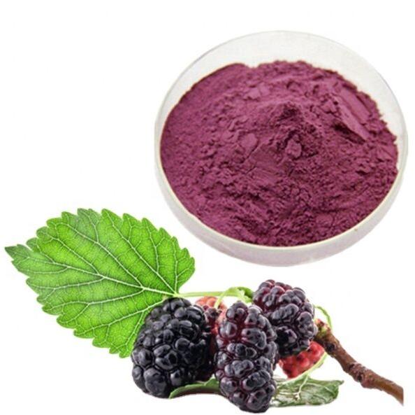 Spray Dried Mulberry Powder