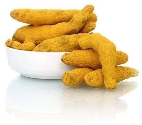 Yellow Organic Turmeric Finger, Packaging Type : Loose
