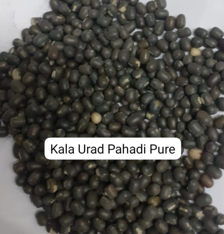 Granules Black Pahadi Sabut Urad Dal, for Cooking, Grade Standard : Food Grade