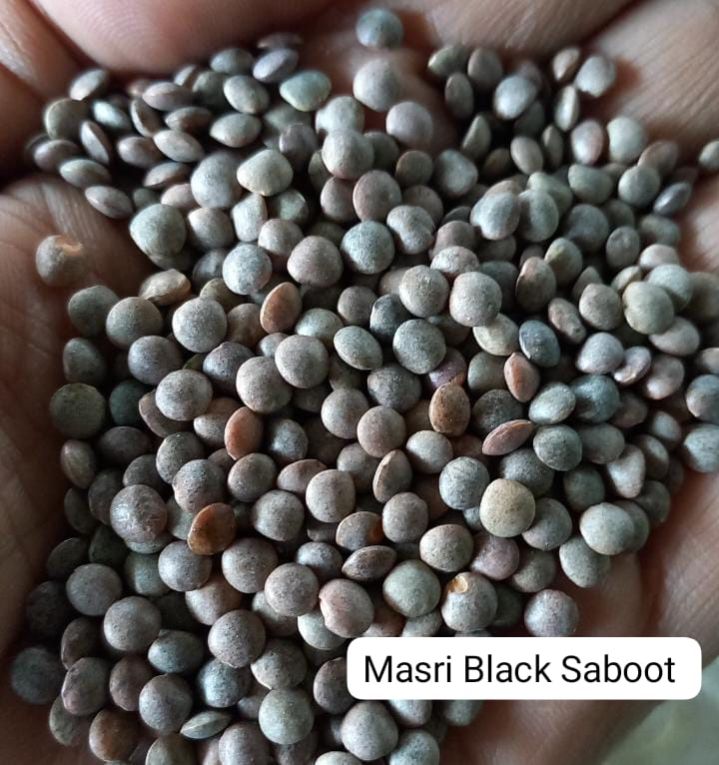 Black Sabut Masoor Dal
