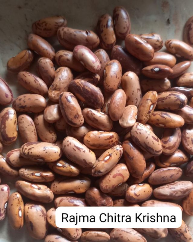 Granules Natural Chitra Rajma, for Cooking, Color : Light Red