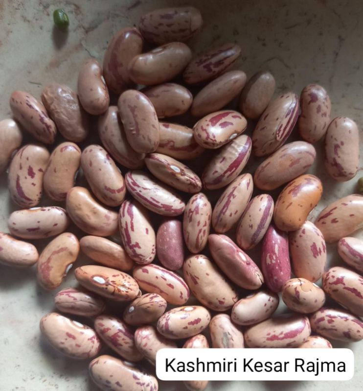 Brownish Kidney Shape Natural Kashmiri Rajma, for Cooking, Human Consumption
