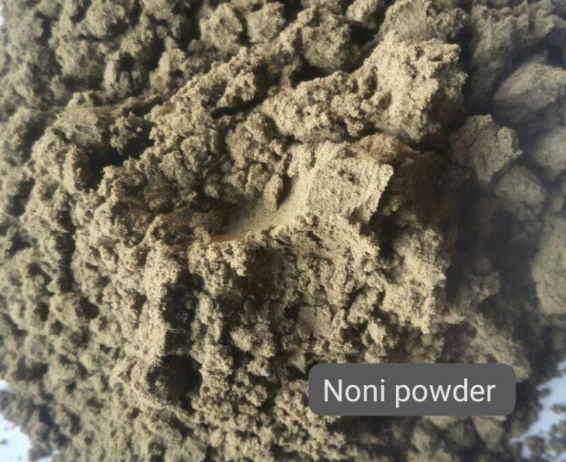 Noni Fruit Powder, for Personal, Purity : 100 %