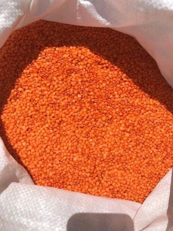 Export Domestic Natural Red Masoor Dal, For Cooking, Packaging Type : Pp Bag