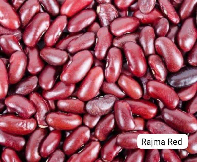 Oval Natural Red Rajma, for Cooking