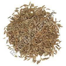 Raw Common Cumin Seeds, for Spices, Cooking, Form : Solid