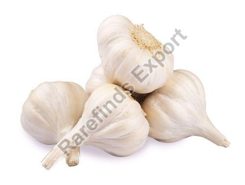 Common fresh garlic, Color : White
