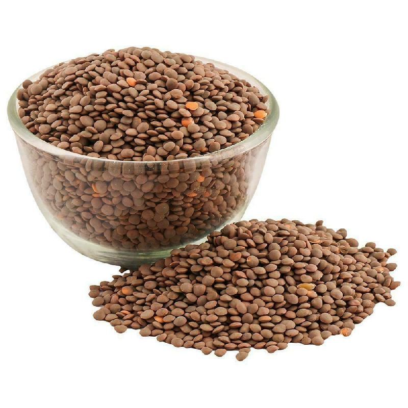 Organic Brown Masoor Dal, for High in Protein