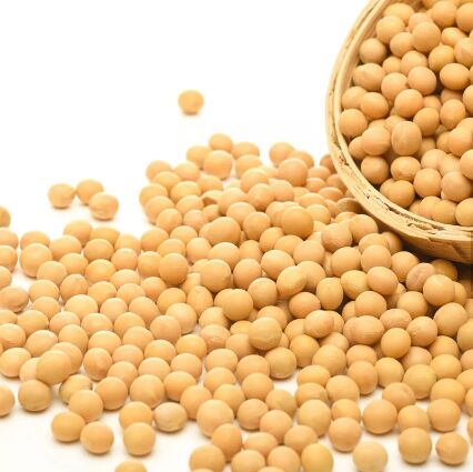 Supplier of Soya Beans from Illinois, United States by Soya Bean