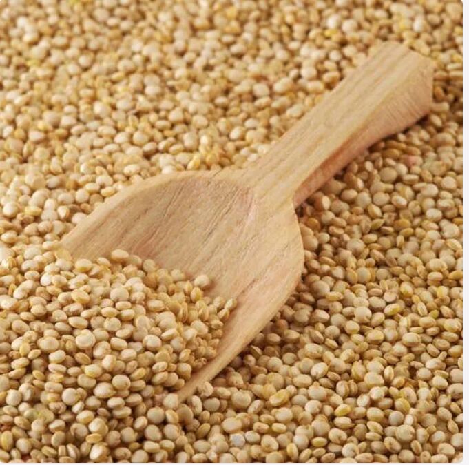 Common Amaranth Seed, for Cooking, Food, Packaging Type : Gunny Bag, Jute Bag, Plastic Bag, PP Bag