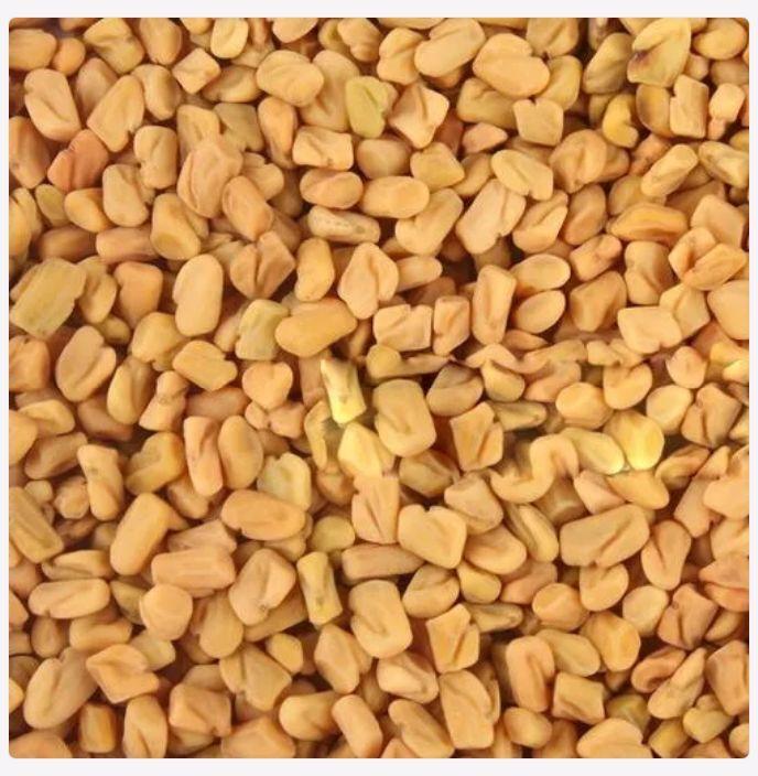 Raw Common Fenugreek seeds, for Food Medicine, Form : Granules