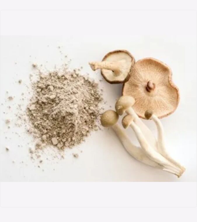 organic shiitake mushroom brown yellow powder