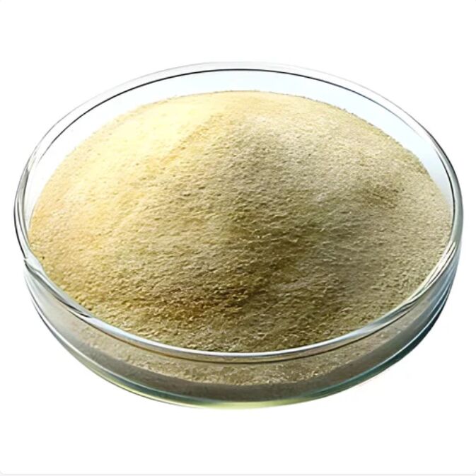 Sodium Alginate Powder