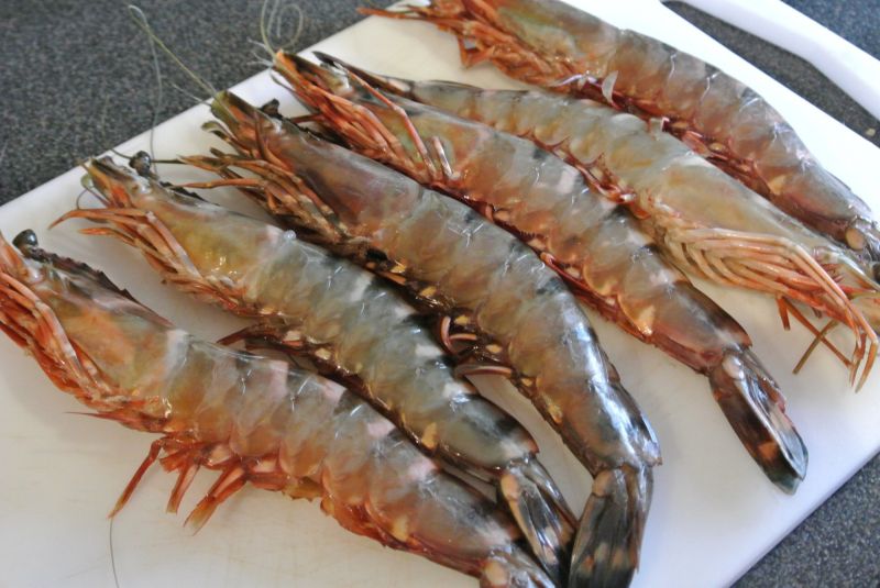 Fresh Tiger Prawns