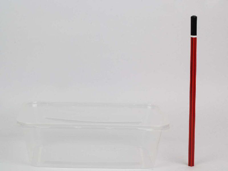 Plastic Container Transparent - 2000ml - Disposable Bazaar