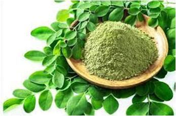 Organic Dehydrated Moringa Leaves Powder, for Cosmetics, Color : Green