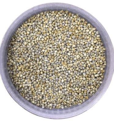 Organic Bajra Seeds, Packaging Size : 25kg, 50kg
