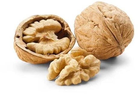 Fresh Kashmiri Walnut, Packaging Type : Plastic Box
