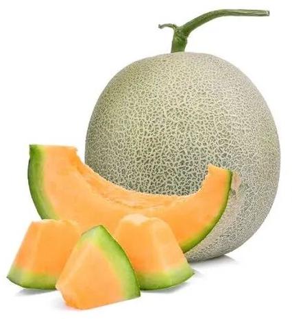 fresh muskmelon