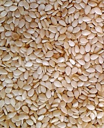 White Sesame Seeds