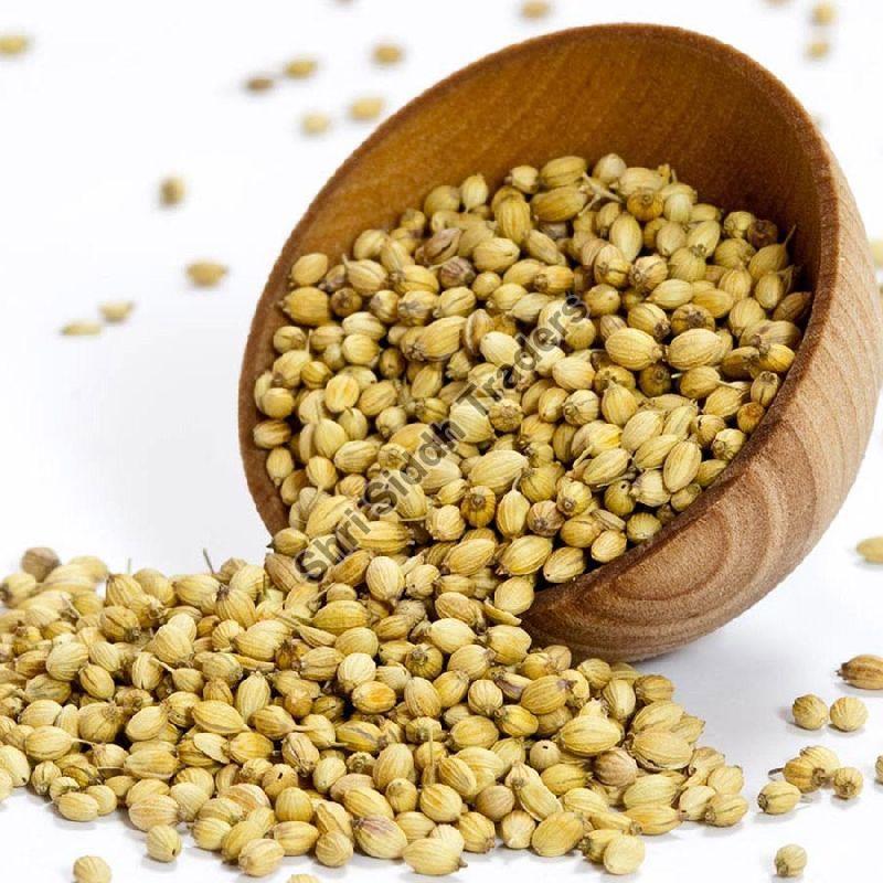 Raw Organic coriander seeds, for Cooking, Color : Brown