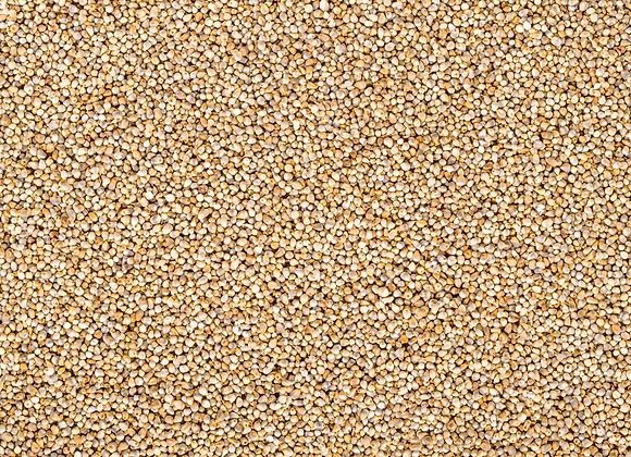 Organic Little Millet Seeds, for Cooking, Cattle Feed, Style : Dried