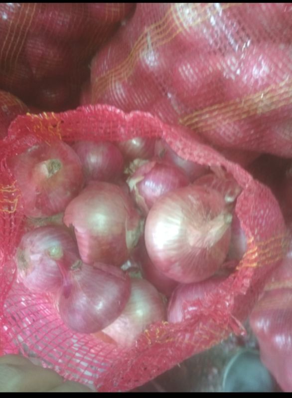 Organic Fresh Onion, for Snacks, Fast Food, Cooking