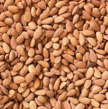 Hard Automatic Common california almond, for Milk, Sweets, Certification : FSSAI Certified