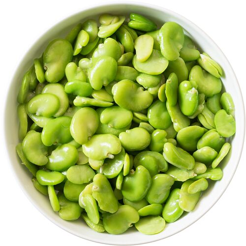 Common Broad Beans, for Cooking, Feature : High In Protein, Good For Health