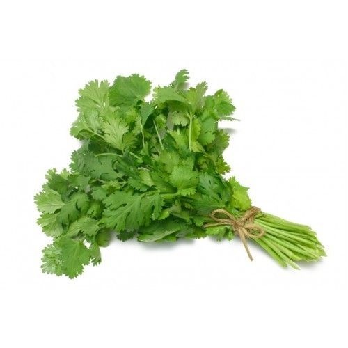 Common Fresh Coriander, for Cooking, Color : Green