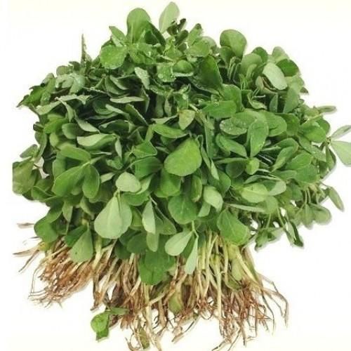 Common Fresh Fenugreek, for Cooking, Color : Green