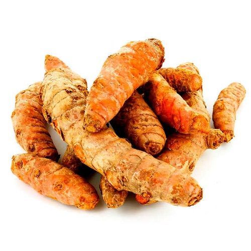 Common Fresh Turmeric, for Spices, Specialities : Good For Health, Good Quality, Hygenic