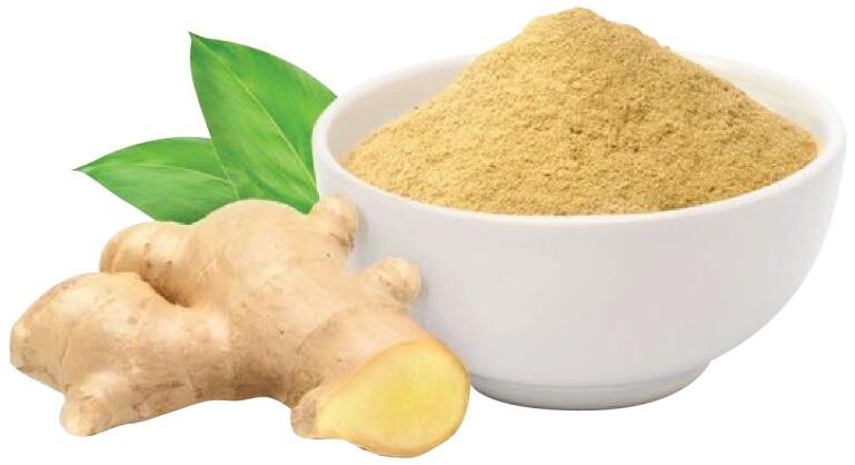 Common Ginger Powder, for Cooking, Spices, Food Medicine, Color : Yellow
