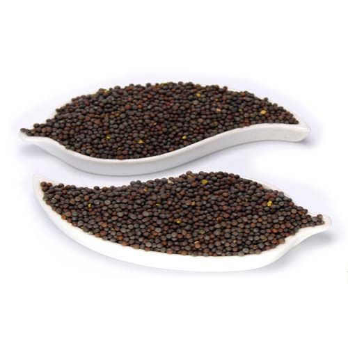 Common Mustard Seeds, for Food Medicine, Spices, Specialities : Good For Health, Good Quality, Hygenic
