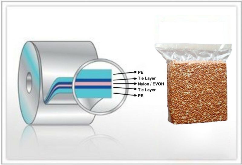 five layers nylon vacuum bag