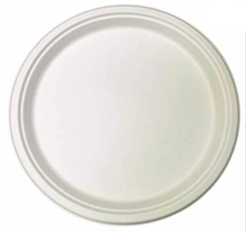 White Circular 10 Inch Sugarcane Bagasse Disposable Plate