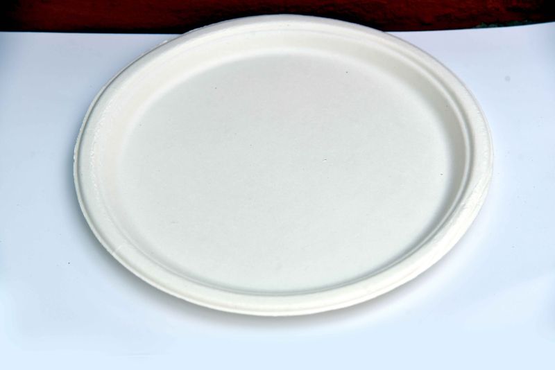 White Circular 12 Inch Sugarcane Bagasse Disposable Plate