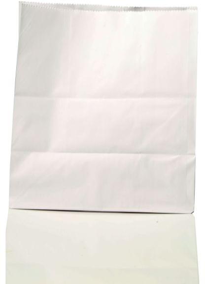 Plain White Kraft Paper Pouch, Packaging Type : Plastic Packet