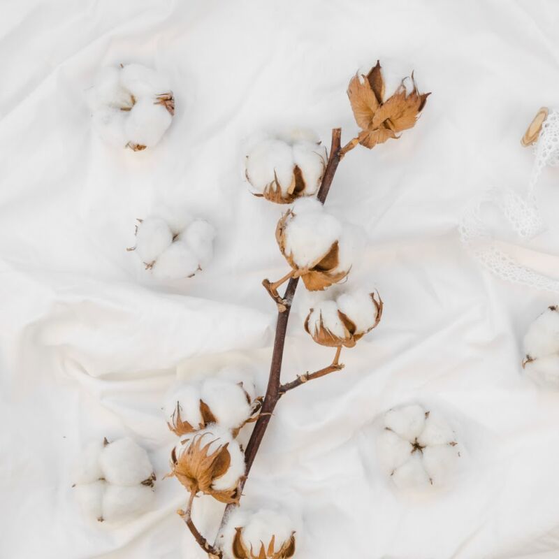 Organic Cotton Bedsheets  - Flat & Plain