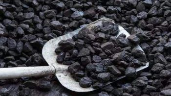 Coal, for Industrial