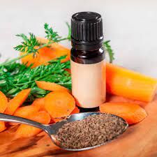Carrot Essential oil, for Medicines, Form : Liquid
