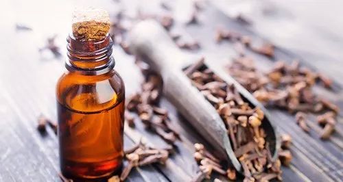 Organic Clove Essential Oil, for Cosmetics, Food Flavor. Pharma, Packaging Size : 10ml-1Ltr