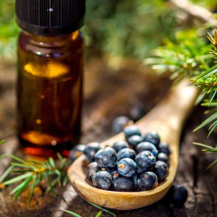 Juniper Berry Essential Oil, for Medical Uses, Cosmetic Uses, Form : Liquid