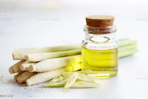 Leaves Lemongrass Essential Oil