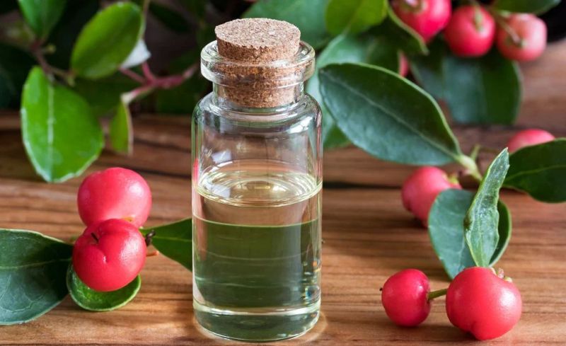 Organic WinterGreen Essential Oil, Grade : Medicine Grade, Cosmetic Grade