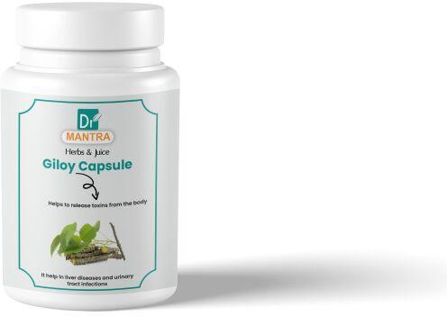 Giloy Capsule, for Supplement Diet, Grade Standard : Herbal Grade