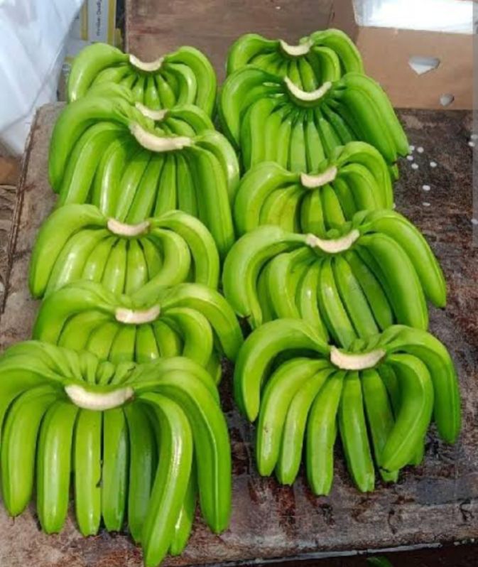 Organic Cavendish Bananas, Packaging Type : Carton