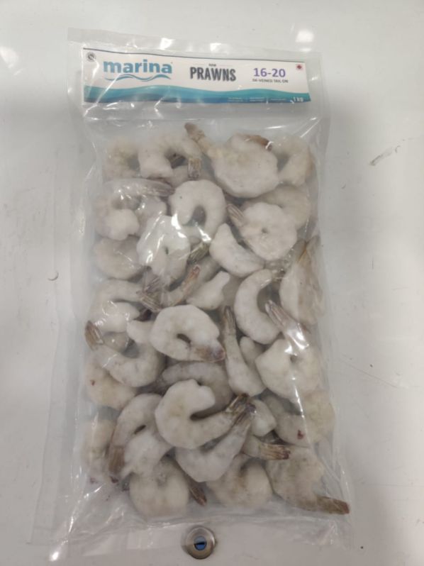 Marina Headless Frozen prawn, Variety : White Shrimp
