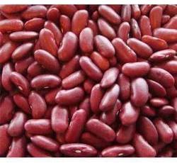 Common Red Rajma, for Cooking, Feature : Best Quality